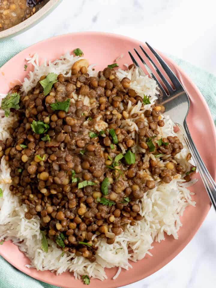 kaali_daal on rice in a plate