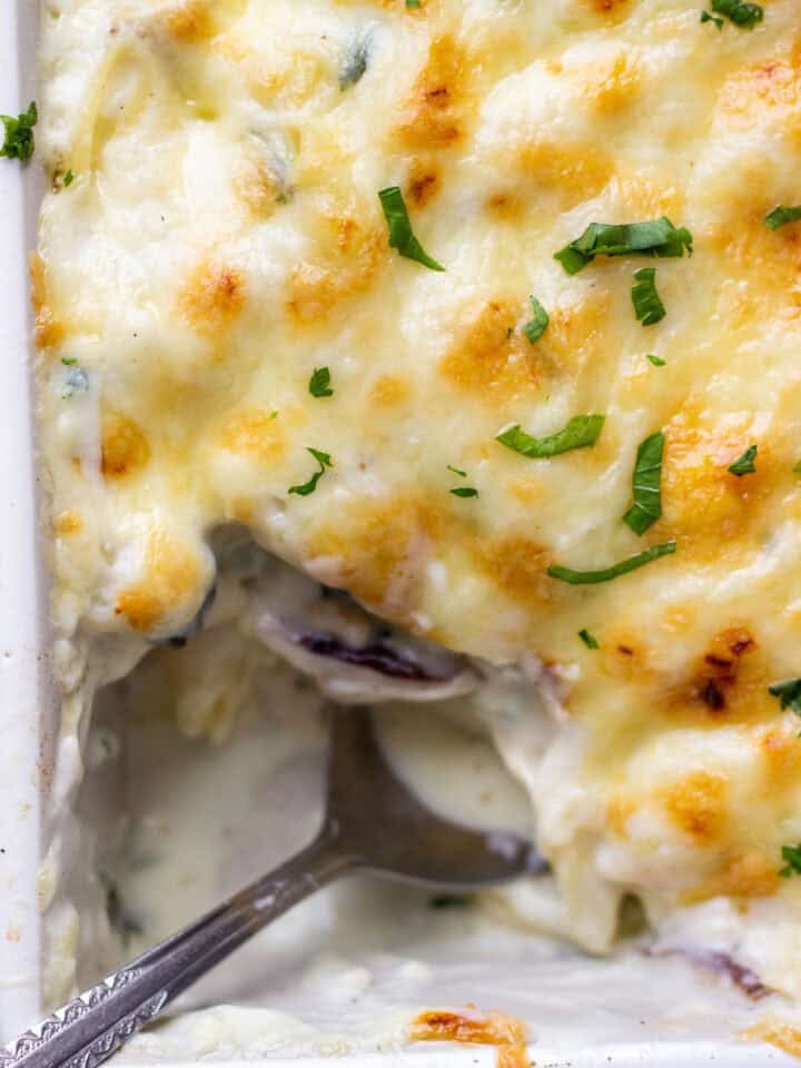 white sauce chicken pasta in a square pan with a spoon in it