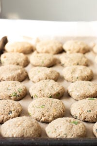 shami kabab in a tray